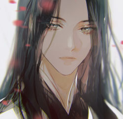 Rule 34 | 1girl, black hair, blurry, expressionless, gradient eyes, haban (haban35), highres, long eyelashes, long hair, multicolored eyes, petals, portrait, return of the mount hua sect, simple background, twitter username, white background, yu iseol (return of the mount hua sect)