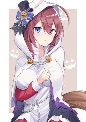 Rule 34 | 1girl, absurdres, ahoge, animal ears, black hat, blue bow, blue ribbon, blush, bow, breasts, chain, dress, food-themed hair ornament, hair ornament, halloween, hat, hat bow, highres, hood, hood up, horse ears, horse girl, horse tail, large breasts, long sleeves, looking at viewer, mihono bourbon (ghosty and the magic of halloween) (umamusume), mihono bourbon (umamusume), mini hat, mini top hat, official alternate costume, pumpkin hair ornament, red sleeves, ribbon, solo, tail, top hat, umamusume, white dress, white hood, yukarite