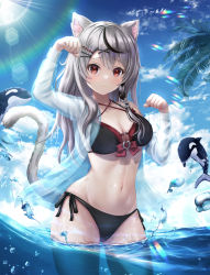 Rule 34 | 1girl, absurdres, animal, animal ears, bikini, black bikini, black hair, blue sky, breasts, cat ears, cat girl, cat tail, cleavage, cloud, commentary request, grey hair, hair ornament, highres, hololive, long hair, looking at viewer, medium breasts, multicolored hair, ocean, orca, outdoors, partially submerged, paw pose, red eyes, sakamata chloe, side-tie bikini bottom, sky, solo, streaked hair, sun, swimsuit, tail, thighs, virtual youtuber, wajuniorbox, x hair ornament