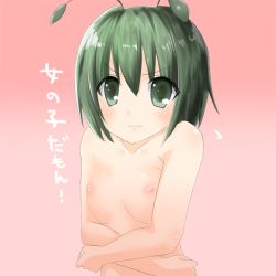 Rule 34 | 1girl, antennae, bad id, bad pixiv id, breasts, female focus, flat chest, gradient background, green eyes, green hair, matching hair/eyes, nase, nipples, nude, solo, text focus, touhou, translated, wriggle nightbug