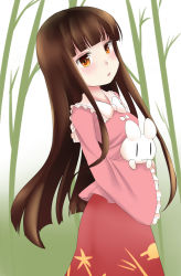 Rule 34 | 1girl, :3, puff of air, anata (lighttuner), animal, animal hug, bamboo, bamboo forest, bow, brown eyes, brown hair, rabbit, forest, highres, houraisan kaguya, japanese clothes, leaning back, long hair, looking at viewer, nature, open mouth, orange eyes, outdoors, solo, touhou, very long hair, | |