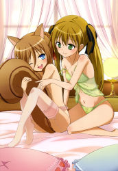 Rule 34 | 10s, 2girls, ;d, absurdres, animal ears, babydoll, barefoot, between legs, blue eyes, breasts, brown hair, chemise, dog days, garter straps, green eyes, green panties, hair ribbon, heart, highres, holding own tail, hugging own tail, hugging tail, ikawa waki, kuberu e pastillage, legs, lingerie, long hair, long legs, multiple girls, navel, non-web source, nyantype, official art, one eye closed, open mouth, panties, pillow, rebecca anderson, ribbon, small breasts, smile, squirrel tail, tail, tail between legs, thighhighs, twintails, underwear, very long hair, wink, yuri