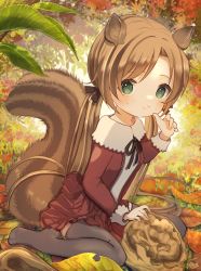 Rule 34 | 1girl, :t, animal ears, autumn leaves, black ribbon, blush, brown hair, brown jacket, brown skirt, closed mouth, commentary request, eyebrows hidden by hair, food, food on face, green eyes, grey thighhighs, hand up, highres, jacket, long hair, long sleeves, looking at viewer, low twintails, marekamico, neck ribbon, no shoes, open clothes, open jacket, original, parted bangs, pleated skirt, ribbon, shirt, sitting, skirt, solo, squirrel ears, squirrel girl, squirrel tail, tail, thighhighs, twintails, very long hair, wariza, white shirt