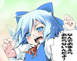 Rule 34 | 1girl, child, cirno, embodiment of scarlet devil, female focus, gradient background, ham (points), solo, tears, touhou