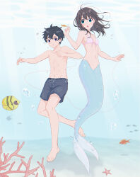 Rule 34 | 1boy, 1girl, absurdres, air bubble, anthias (fish), barefoot, bikini, bikini top only, black hair, black male swimwear, blue eyes, bubble, butterflyfish, closed mouth, collarbone, commentary request, fish, fish request, full body, highres, katou kaisei, looking at viewer, male swimwear, medium hair, mermaid, mizushima aimi, monster girl, navel, open mouth, original, pink bikini, purple eyes, revision, rinshi (artist), short hair, starfish, string, string of fate, swim trunks, swimsuit, topless male, tropical fish, underwater