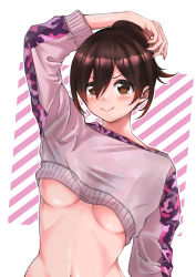 Rule 34 | 1girl, absurdres, alternate hairstyle, arm up, blush, blush stickers, breasts, brown eyes, brown hair, camouflage, closed mouth, commentary, cropped sweater, eyes visible through hair, hair between eyes, highres, hololive, looking at viewer, medium breasts, midriff, moon luna, navel, pink background, pink sweater, ponytail, roboco-san, roboco-san (hoodie), short hair, simple background, smile, solo, striped, striped background, sweater, two-tone background, underboob, upper body, virtual youtuber, white background