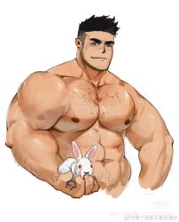 Rule 34 | 1boy, abs, animal, arm hair, artist request, bara, chinese zodiac, cropped torso, highres, holding, holding animal, large pectorals, long sideburns, male focus, mature male, muscular, muscular male, navel, navel hair, nipples, nude, original, pectorals, pointy ears, rabbit, short hair, sideburns, solo, sparse chest hair, sparse stubble, stomach, strongman waist, thick eyebrows, undercut, v-shaped eyebrows, year of the rabbit