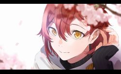 Rule 34 | 1boy, cherry blossoms, closed mouth, flower, hair between eyes, hair flower, hair ornament, hanasaki miyabi, hand up, highres, holostars, letterboxed, light smile, looking at viewer, male focus, murraya pa, petals, portrait, red hair, short hair, solo, turtleneck, virtual youtuber, yellow eyes