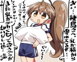 Rule 34 | 1girl, :o, alternate breast size, blue shorts, breasts, brown eyes, brown hair, covered erect nipples, gym shirt, gym shorts, gym uniform, high ponytail, kanikama, large breasts, long hair, open mouth, oppai loli, sagging breasts, shirt, shorts, solo, speech bubble, stretching, sweat, taneshima popura, translation request, very long hair, working!!