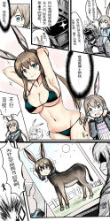 Rule 34 | 1girl, 1other, amiya (arknights), animal ears, arknights, armpits, arms up, bikini, black jacket, blue eyes, blush, breasts, brown hair, chinese text, cleavage, comic, doctor (arknights), donkey, drawing (object), flag, green bikini, highres, holding, holding flag, jacket, jewelry, large breasts, long hair, long sleeves, navel, open clothes, open jacket, photo (object), rabbit ears, ring, swimsuit, tape, translation request, y.ssanoha