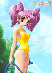 Rule 34 | 1990s (style), 1girl, bishoujo senshi sailor moon, breasts, brown eyes, bush, chibi usa, child, cloud, cone hair bun, covered erect nipples, day, hair bun, hose, one-piece swimsuit, onoe, pink hair, retro artstyle, sky, small breasts, solo, swimsuit, tree, water