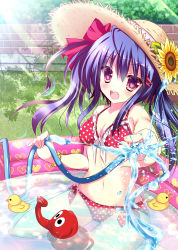 Rule 34 | 1girl, bikini, breasts, cleavage, fang, flower, frilled bikini, frills, front-tie top, hat, highres, hose, light rays, long hair, looking at viewer, md5 mismatch, medium breasts, navel, original, partially submerged, polka dot, polka dot bikini, polka dot swimsuit, purple hair, red eyes, rika-tan (rikatantan), rubber duck, side-tie bikini bottom, sitting, solo, straw hat, sunbeam, sunflower, sunlight, swimsuit, wading pool, wariza, water, watering can