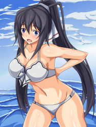 Rule 34 | 10s, 1girl, arms behind back, bare shoulders, bikini, black hair, blue eyes, blush, body blush, breasts, cleavage, cloud, female focus, front-tie top, hair ribbon, highres, infinite stratos, large breasts, long hair, looking at viewer, mei ichi, navel, ocean, open mouth, ponytail, ribbon, shinonono houki, solo, split ponytail, standing, swimsuit, thighs, very long hair, white bikini