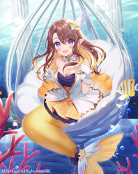 Rule 34 | 1girl, :d, air bubble, bare shoulders, blonde hair, blush, breasts, brown hair, bubble, cardfight!! vanguard, chair, cleavage, collarbone, colored inner hair, commentary request, coral, detached collar, detached sleeves, dress, feather hair ornament, feathers, fish, full body, gloves, hair between eyes, hair ornament, jewelry, large breasts, layered dress, long hair, looking at viewer, mermaid, momoshiki tsubaki, monster girl, multicolored hair, necklace, official art, open mouth, pillar, pleated dress, pointy ears, puffy detached sleeves, puffy sleeves, purple eyes, sidelocks, sitting, smile, star (symbol), star hair ornament, strapless, strapless dress, tail, tail ornament, two-tone hair, underwater, white dress, white gloves, yellow dress