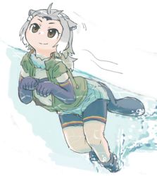 Rule 34 | 10s, 1girl, american beaver (kemono friends), animal ears, beaver ears, beaver tail, bike shorts, bike shorts under shorts, boots, commentary request, elbow gloves, fur collar, gloves, grey hair, hair tie, kemono friends, kemono friends zatsudan e sure goudou-kai, multicolored hair, navel, partially underwater shot, short hair, shorts, smile, solo, swimming, tail, underwater, vest, water, white hair