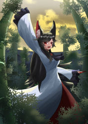 Rule 34 | 1girl, animal ears, ascot, bamboo, bamboo forest, black ascot, black hair, breasts, brooch, cloud, commentary request, dress, fang, feet out of frame, fingernails, forest, highres, imaizumi kagerou, jewelry, long fingernails, long hair, long sleeves, looking at viewer, medium breasts, nail polish, nature, open mouth, outdoors, red eyes, red nails, sanematsu0, sky, solo, swept bangs, touhou, touhou danmaku kagura, very long fingernails, white dress, wide sleeves, wolf ears, wolf girl, yellow sky
