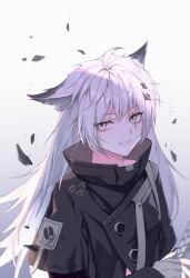 Rule 34 | 1girl, ahoge, animal ears, arknights, black jacket, black nails, buttons, collared jacket, double-breasted, fingerless gloves, gloves, grey eyes, grey gloves, high collar, highres, jacket, lappland (arknights), long hair, looking to the side, scar, scar across eye, simple background, smile, solo, tazuna (shu), upper body, white background, white hair, wolf ears