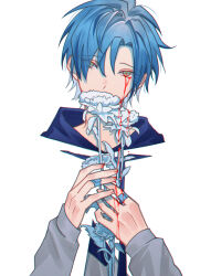 Rule 34 | 1boy, bandaid, bandaid on hand, blending, blood, blood on hands, bloody tears, blue flower, blue hair, commentary, covered mouth, eyes visible through hair, flower, green eyes, grey hoodie, hair between eyes, head tilt, highres, holding, holding flower, holostars, holostars english, hood, hood down, hoodie, jacket, looking at viewer, male focus, moyyyya, parted bangs, red pupils, regis altare, short hair, simple background, solo, upper body, virtual youtuber, white background, white jacket