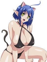 Rule 34 | 10s, 1girl, ahoge, alternate costume, animal ears, artist request, bikini, black bikini, blue hair, breasts, cat demon girl (shinmai maou no testament burst), cat ears, cat tail, cleavage, fangs, female focus, halterneck, head tilt, highres, invisible chair, large breasts, markings, open mouth, pointy ears, shinmai maou no testament, shiny skin, short hair, sitting, skindentation, solo, source request, spread legs, swimsuit, tail, thighs, transparent background, v-shaped eyebrows, yellow eyes