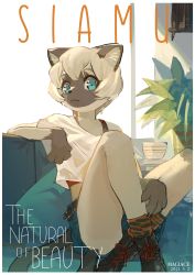 Rule 34 | 1girl, animal ears, artist name, belt, black footwear, blue eyes, bob cut, border, cat ears, cat tail, claws, cover, crop top, dated, english text, fake magazine cover, female focus, furry, furry female, highres, magazine cover, magiace, original, plant, potted plant, shorts, sitting, socks, solo, tail, white border, white hair
