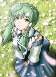 Rule 34 | 1girl, bad id, bad pixiv id, blue skirt, blush, detached sleeves, female focus, frog hair ornament, from above, green eyes, green hair, hair ornament, kochiya sanae, long sleeves, looking up, matching hair/eyes, nazal, nontraditional miko, petals, sidelocks, skirt, snake, solo, standing, touhou
