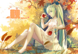Rule 34 | 1girl, apple, aqua eyes, aqua hair, autumn leaves, baisi shaonian, bare arms, barefoot, branch, collarbone, dress, english text, food, from side, fruit, full body, grass, hair ribbon, hatsune miku, highres, holding, holding food, holding fruit, leaf, legs, long hair, looking at viewer, maple leaf, nail polish, outdoors, parted lips, ribbon, scenery, sideways glance, sitting, sleeveless, sleeveless dress, smile, solo, sundress, toenail polish, toenails, very long hair, vocaloid, white dress