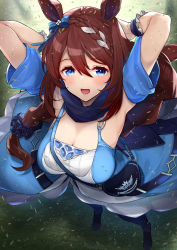 Rule 34 | 1girl, amami amayu, animal ears, armpits, arms behind head, blue eyes, bow, braid, brown hair, commentary request, detached sleeves, ear bow, ear ribbon, from above, full body, grass, horse ears, horse girl, horse tail, long hair, looking at viewer, open mouth, outdoors, red lips, single braid, solo, standing, super creek (umamusume), tail, tareme, umamusume, very long hair, wrist cuffs