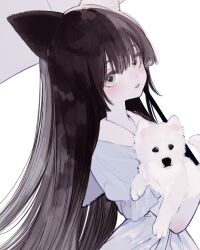 Rule 34 | 1girl, animal, animal ears, archived source, black hair, blue dress, cat ears, collared dress, dog, dress, expressionless, grey eyes, highres, holding, holding animal, holding dog, holding umbrella, honjou ruri, honnryou hanaru, long hair, looking at viewer, original, parted lips, sailor collar, simple background, solo, umbrella, upper body, white background