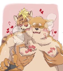 2boys animal_ears bara bare_pectorals belly blush cat_nose claws commentary_request dog_nose fat fat_man furry furry_male groping hands_on_another&#039;s_chest heart highres jiro_mita_(ramen_wolf_and_curry_tiger) kagetora_yanagi_(ramen_wolf_and_curry_tiger) kosei_ginshari looking_at_another male_focus multiple_boys nipples one_eye_closed open_mouth pawpads pectorals puff_of_air ramen_wolf_and_curry_tiger sound_effects steaming_body sweat sweatdrop tiger_boy tiger_ears tiger_stripes tongue tongue_out topless_male very_sweaty wolf_boy wolf_ears yaoi