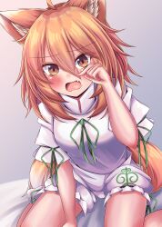 Rule 34 | 1girl, ahoge, animal ears, blush, breasts, commentary request, d:, dot nose, fang, fox ears, fox girl, fox tail, furrowed brow, green ribbon, grey background, hair between eyes, highres, kudamaki tsukasa, looking at viewer, mandarin collar, medium breasts, medium hair, open mouth, orange eyes, orange hair, ribbon, romper, rubbing eyes, short sleeves, simple background, sitting, siw0n, solo, tail, touhou, wariza, white romper