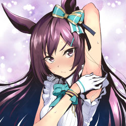 Rule 34 | 1girl, animal ears, aqua bow, arm behind head, armpits, bow, closed mouth, commentary request, covering privates, gloves, hair bow, horse ears, horse girl, long hair, looking at viewer, mejiro dober (umamusume), nakahira guy, purple eyes, purple hair, solo, sweat, umamusume, upper body, white gloves
