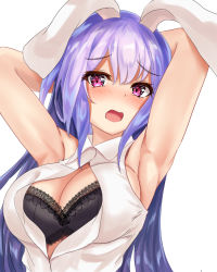Rule 34 | 1girl, :o, adapted costume, animal ears, armpits, arms behind head, arms up, bare shoulders, black bra, blush, bra, breasts, cleavage, collared shirt, commentary request, eyelashes, hair between eyes, kaeranu kaeru, lace, lace-trimmed bra, lace trim, large breasts, light purple hair, long hair, looking at viewer, open clothes, open mouth, open shirt, rabbit ears, red eyes, reisen udongein inaba, shirt, sidelocks, simple background, sleeveless, sleeveless shirt, solo, standing, touhou, underwear, upper body, very long hair, white background, white shirt, wing collar