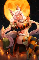 Rule 34 | 1girl, absurdres, ahoge, alternate costume, animal ears, breadthree, breasts, guardian tales, halloween, highres, ice witch lupina, long hair, looking at viewer, medium breasts, multicolored clothes, multicolored legwear, night, night sky, pumpkin, sitting, sky, sleeveless, tail, tattoo, twintails, white hair, wolf ears, wolf girl, wolf tail, yellow eyes