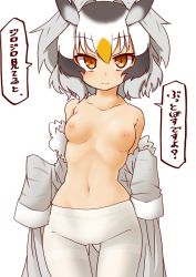 Rule 34 | 1girl, 370ml, :|, bad id, bad twitter id, bare shoulders, breasts, closed mouth, coat, commentary request, cowboy shot, expressionless, gluteal fold, head wings, highres, kemono friends, long sleeves, looking at viewer, multicolored hair, navel, nipples, northern white-faced owl (kemono friends), off shoulder, open clothes, open coat, orange eyes, pantyhose, short hair, simple background, sleeves past fingers, sleeves past wrists, small breasts, solo, standing, translated, white background, white hair, white pantyhose, wings