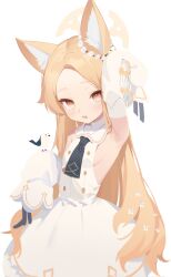 Rule 34 | 1girl, animal, animal ear fluff, animal ears, animal on head, arm up, bird, bird on head, blue archive, blush, breasts, dress, flower, hair flower, hair ornament, halo, highres, long hair, looking at viewer, on head, orange hair, seia (blue archive), sideboob, simple background, sleeveless, sleeveless dress, sleeves past fingers, sleeves past wrists, small breasts, solo, very long hair, white background, white dress, white flower, yushan liang sheng