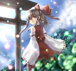 Rule 34 | 1girl, bad id, bad pixiv id, bow, brown hair, detached sleeves, female focus, hair bow, hakurei reimu, japanese clothes, looking back, miko, nature, outdoors, plant, red eyes, skirt, sky, solo, takemori shintarou, torii, touhou
