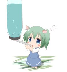 Rule 34 | 1girl, animal ears, blue eyes, blush stickers, bottle, chibi, daiyousei, drinking, edamame (barium), female focus, flying sweatdrops, green hair, hamster ears, mini person, minigirl, no wings, short hair, side ponytail, skirt, solo, tongue, tongue out, touhou, vest, water bottle