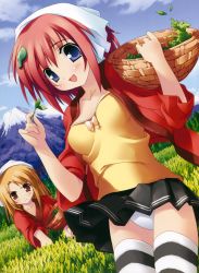 Rule 34 | :d, basket, blue eyes, brown eyes, brown hair, clothes lift, day, farm, frown, hair ornament, hairpin, highres, kantoku, leaf, mountain, open mouth, panties, red hair, skirt, skirt lift, smile, striped legwear, thighhighs, underwear, wind, wind lift