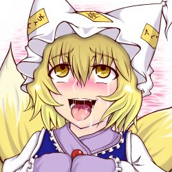 Rule 34 | 1girl, ahegao, blonde hair, blush, drooling, female focus, fox tail, hat, meme, multiple tails, no uvula, open mouth, oral invitation, saliva, short hair, shuu mai, solo, tail, tears, teeth, tongue, tongue out, touhou, upper body, yakumo ran, yellow eyes