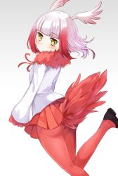 Rule 34 | 10s, 1girl, ass, blunt bangs, frilled sleeves, frills, from behind, fur trim, gradient background, head wings, jacket, japanese crested ibis (kemono friends), kemono friends, leg up, long hair, long sleeves, looking at viewer, looking back, multicolored hair, onbin ha, pantyhose, pleated skirt, red hair, red pantyhose, red skirt, shoes, skirt, sleeves past wrists, solo, tail, two-tone hair, white hair, wings, yellow eyes