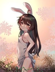Rule 34 | 1girl, ahoge, animal ears, blush, breasts, brown hair, clothes lift, clover hair ornament, dress, dress lift, four-leaf clover hair ornament, from side, hair ornament, highres, kosobin, lifted by self, long hair, looking at viewer, original, outdoors, rabbit ears, rabbit tail, red eyes, small breasts, smile, solo, sundress, tail, thighs, white dress