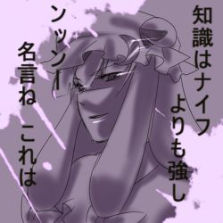 Rule 34 | 1girl, bad id, bad pixiv id, discharge cycle, female focus, hat, lowres, monochrome, patchouli knowledge, purple theme, solo, tobi (discharge cycle), touhou, translated