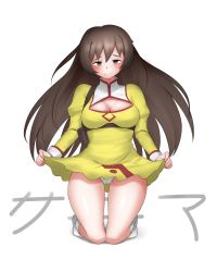 Rule 34 | 1990s (style), 1girl, absurdres, agent aika, aika (series), artist request, blush, breasts, brown eyes, brown hair, cameltoe, character name, cleavage, cleavage cutout, closed mouth, clothes lift, clothing cutout, crotch, delmo, dress, female focus, golden delmo, highres, large breasts, legs, long hair, long sleeves, looking at viewer, panties, pantyshot, puffy sleeves, retro artstyle, sania (agent aika), simple background, skirt, skirt lift, smile, solo, text focus, thighs, underwear, upskirt, very long hair, white background, white panties, yellow dress, yellow skirt