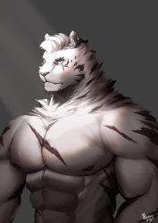 Rule 34 | 1boy, abs, absurdres, animal ears, arknights, bad id, bad pixiv id, bara, completely nude, fluffy, furry, furry male, highres, large pectorals, looking to the side, male focus, mountain (arknights), muscular, muscular male, nipples, nude, pectorals, scar, scar across eye, scar on chest, scar on face, short hair, solo, spotlight, stomach, sunlight, tiger (8161228), tiger boy, tiger ears, tiger stripes, upper body, white fur