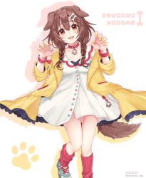 Rule 34 | 1girl, animal ears, blouse, blue footwear, bone hair ornament, braid, breasts, brown hair, character name, claw pose, collar, cross-laced footwear, dakuryuu, dated, dog ears, dog girl, dog tail, hair between eyes, hair ornament, highres, hololive, inugami korone, inugami korone (1st costume), jacket, looking at viewer, medium hair, nail polish, paw print, polka dot, red eyes, red socks, shirt, shoes, side braids, simple background, small breasts, socks, solo, tail, thighs, twin braids, twitter username, virtual youtuber, white background, white shirt, wristband, yellow jacket, yellow nails