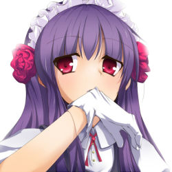 Rule 34 | 1girl, biting, glove biting, gloves, maid, momo (higanbana and girl), mouth hold, original, solo