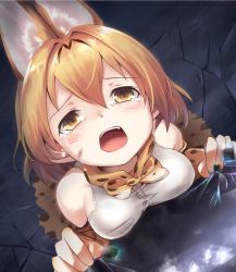 Rule 34 | 10s, 1girl, animal ears, bare shoulders, black cellien (kemono friends), blonde hair, blush, bow, bowtie, commentary, crack, crying, crying with eyes open, elbow gloves, extra ears, fang, from above, gloves, hair between eyes, highres, kemono friends, kuro (baseball0000), looking at viewer, open mouth, print bow, print bowtie, print gloves, print neckwear, print skirt, scratches, serval (kemono friends), serval print, shirt, skirt, sleeveless, sleeveless shirt, solo, tears, white shirt, yellow eyes