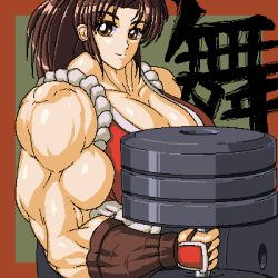Rule 34 | breasts, dumbbell, extreme muscles, fatal fury, lowres, muscular, ren (tainca2000), shiranui mai, snk, the king of fighters, weights