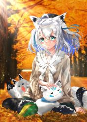 Rule 34 | 1girl, animal ear fluff, animal ears, autumn, autumn leaves, beige shirt, beret, black hat, black pantyhose, black skirt, bow, braid, breasts, commentary request, forest, fox ears, fox girl, fox tail, fubuzilla (shirakami fubuki), green eyes, hair between eyes, hand on another&#039;s head, hat, highres, hololive, june6illust, light particles, light rays, long sleeves, looking at viewer, mascot, nature, outdoors, pantyhose, pentagram, shirakami fubuki, short hair, sidelocks, single braid, sitting, skirt, small breasts, smile, sukonbu (shirakami fubuki), tail, virtual youtuber, white bow, white hair