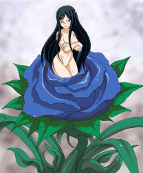Rule 34 | 1girl, alraune, alura une, angry, black hair, blue eyes, blurry, blush, branzent, breasts, castlevania (series), castlevania: order of ecclesia, covering privates, covering breasts, depth of field, embarrassed, flower, groin, large breasts, leaf, long hair, looking at viewer, monster girl, navel, nude, nude cover, parted bangs, plant, plant girl, rose, shanoa, sidelocks, solo, sweat, transformation, venus weed, very long hair, wet